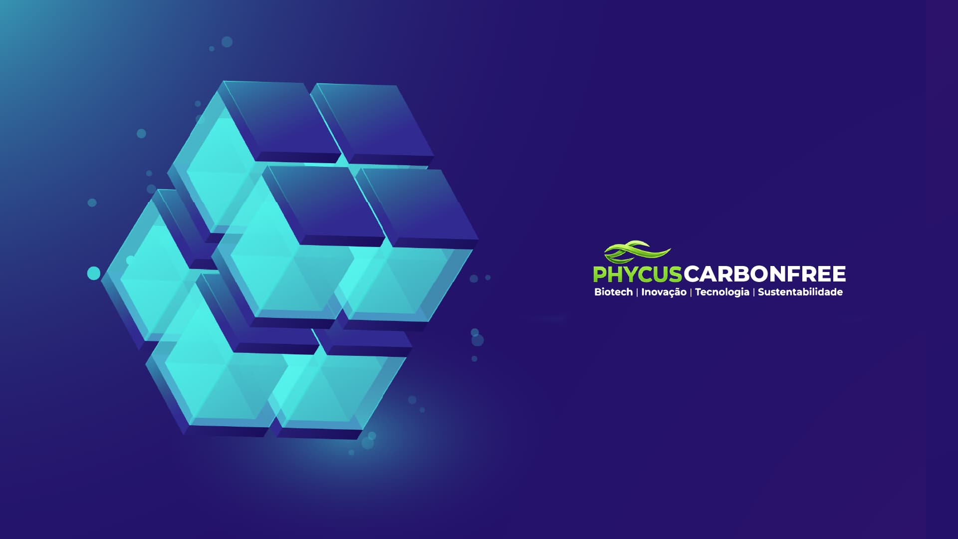 Plataforma Pychus CarbonFree - Blockchain